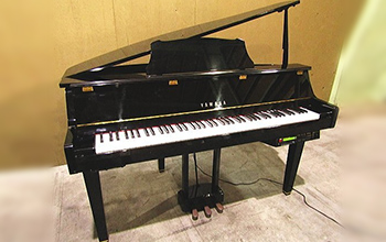 電子ピアノ DGP-2XGの写真