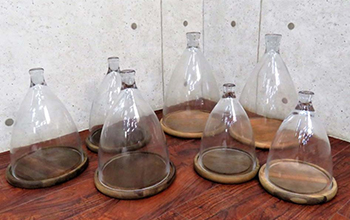 ダルトンガラスクローシュ（GLASS CLOCHE） ディスプレイケース7